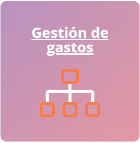 gestor de gastos 