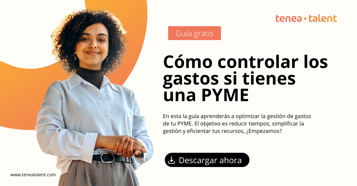 control de gastos pyme